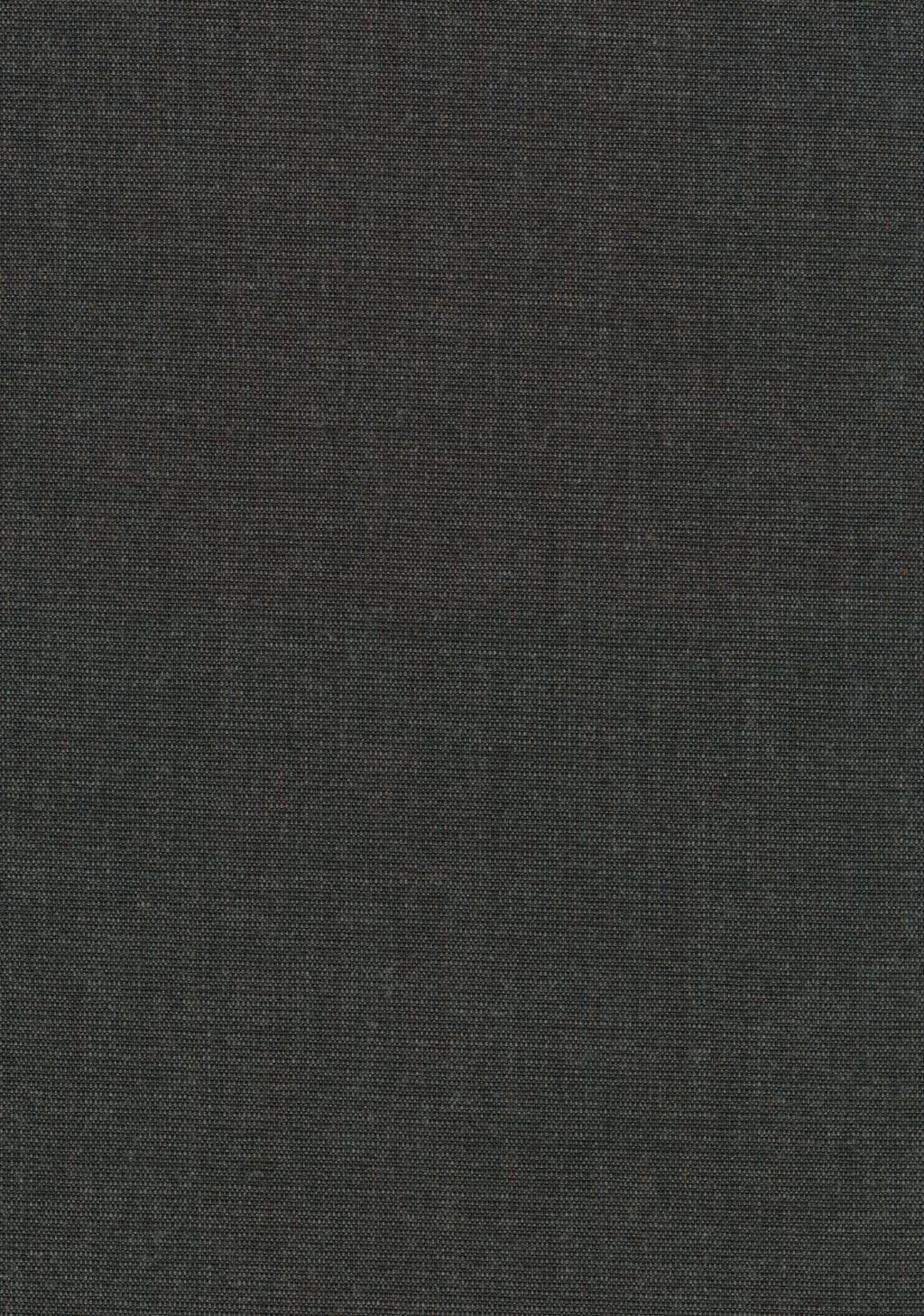 Canvas 2