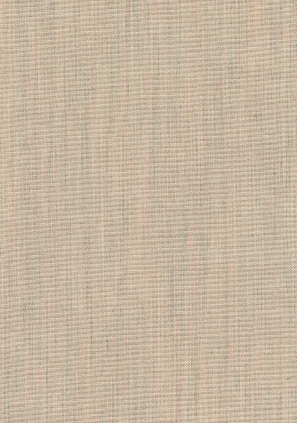 Canvas 2
