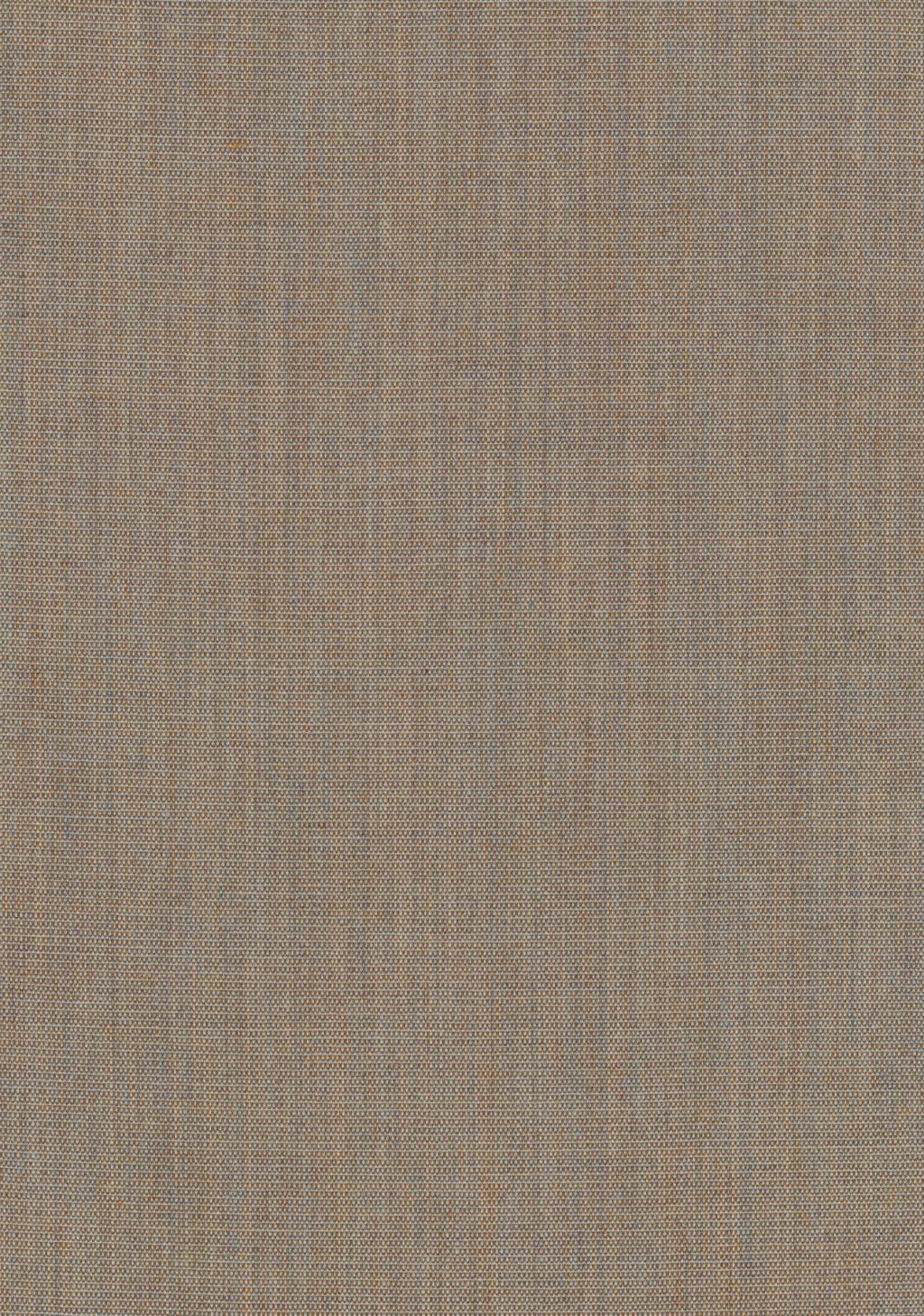 Canvas 2