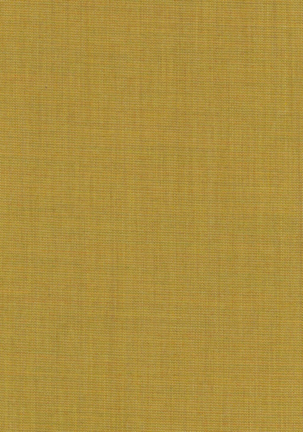 Canvas 2
