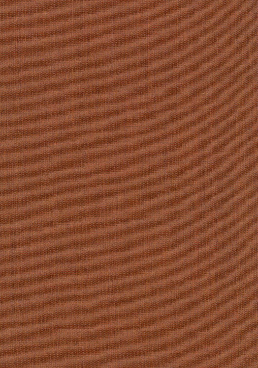 Canvas 2