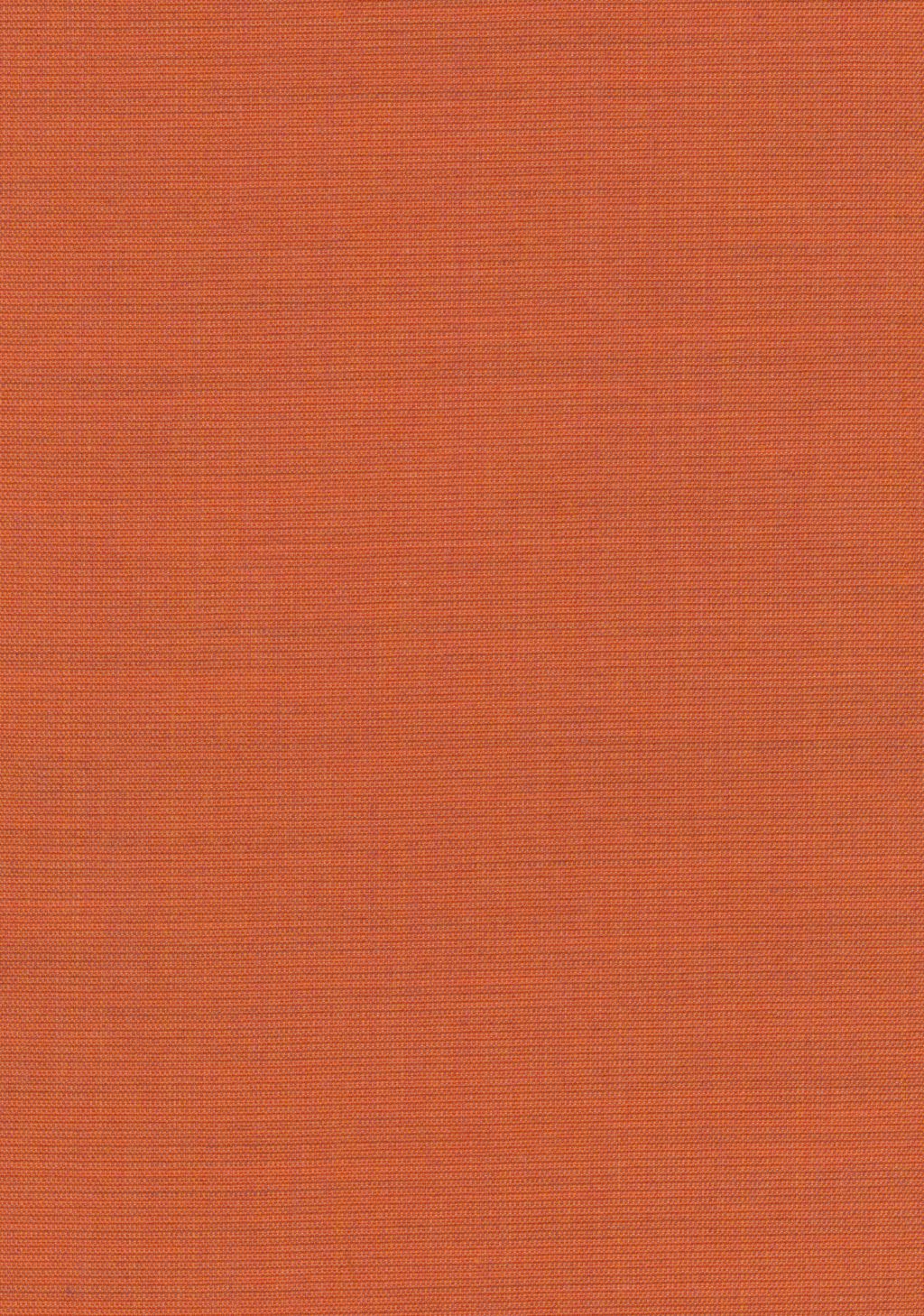 Canvas 2
