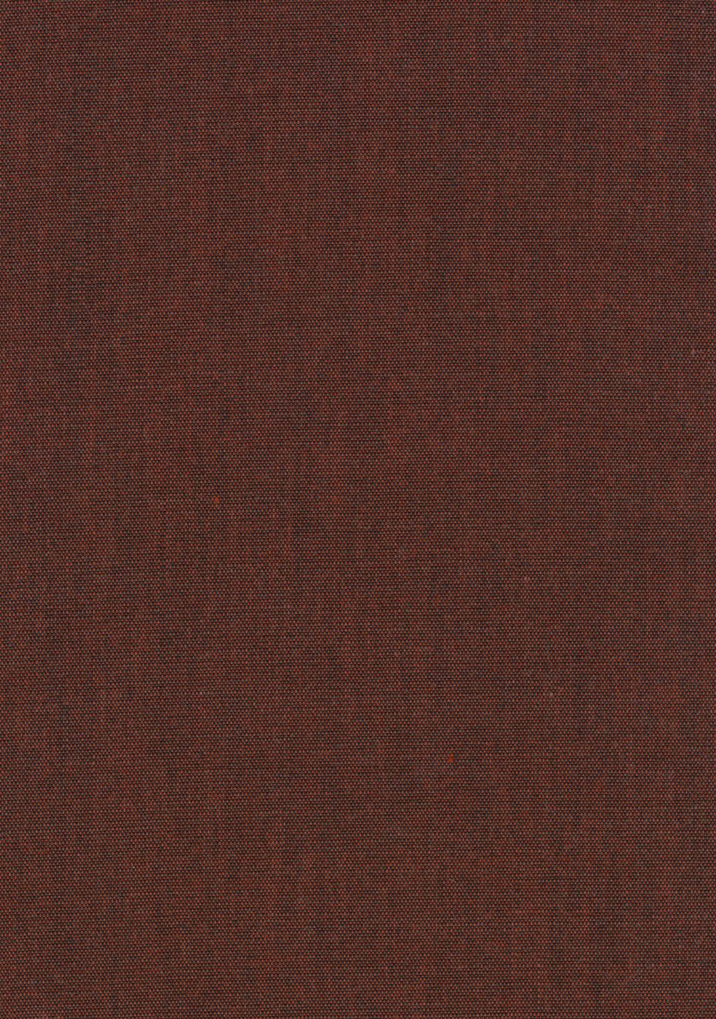 Canvas 2