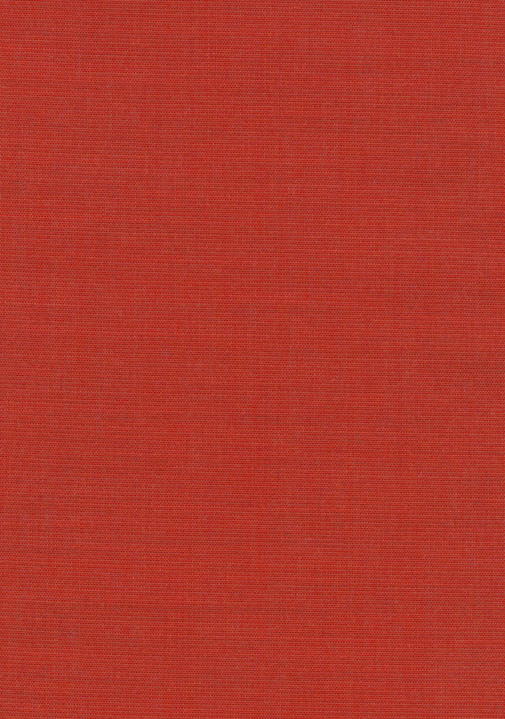 Canvas 2