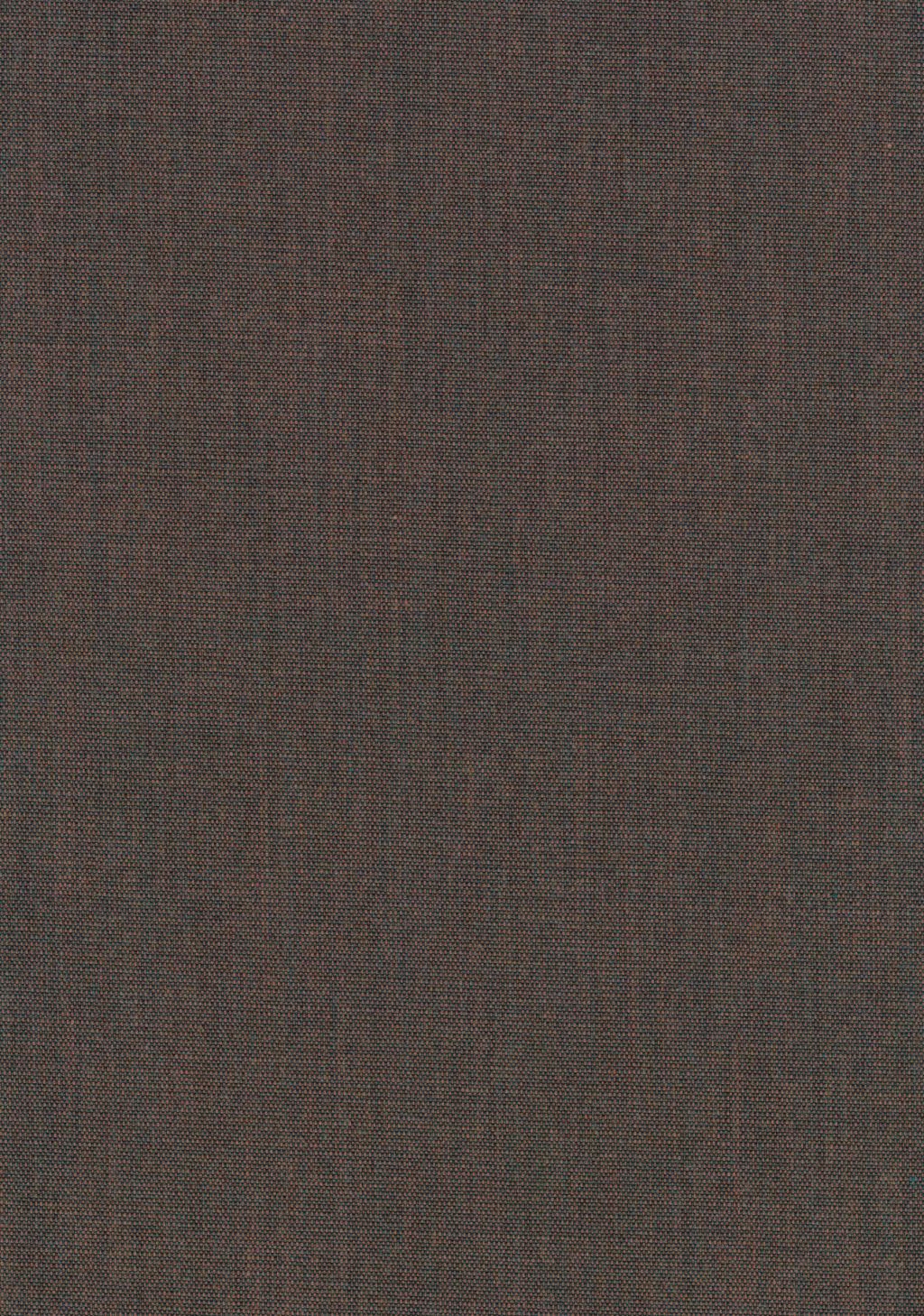 Canvas 2