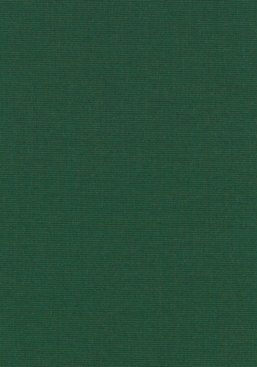 Canvas 2