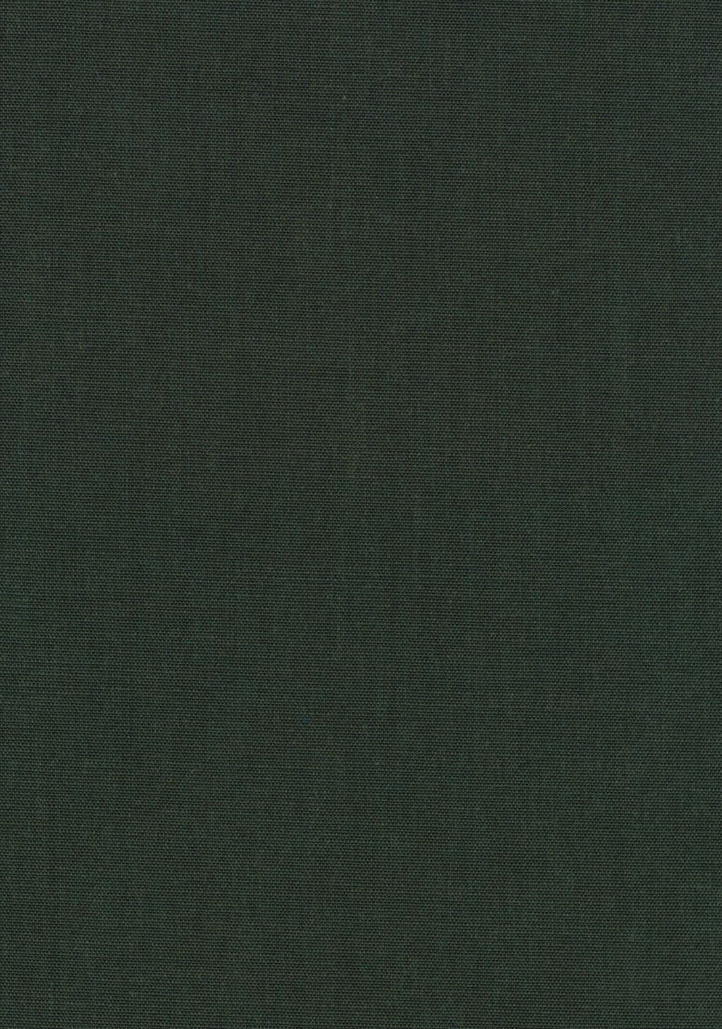 Canvas 2