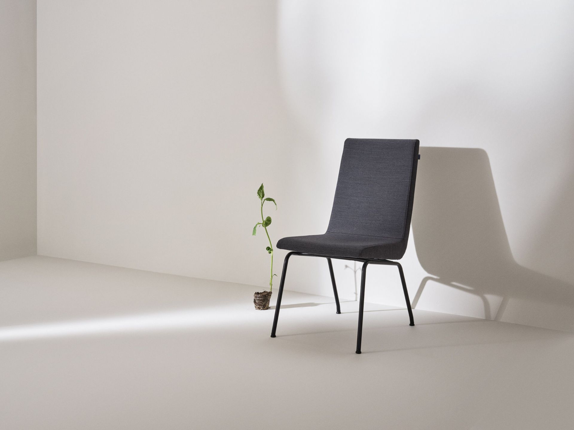 Woods Chair with metal legs product image 2
